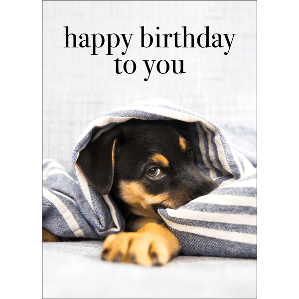 M142 Happy Birthday To You Dog Greeting Card Affirmations