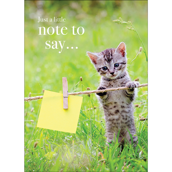 M143 Just A Little Note To Say Kitten Greeting Card Affirmations