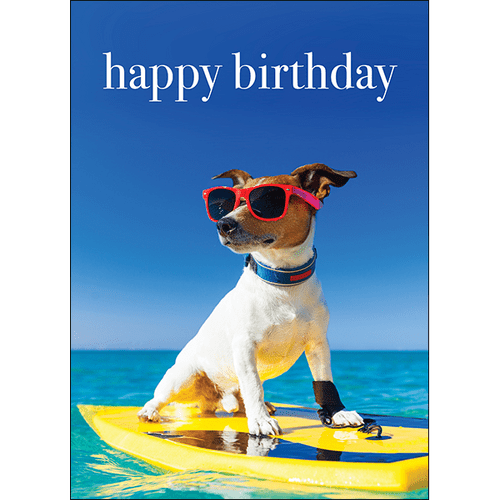 Birthday Card Dogs
