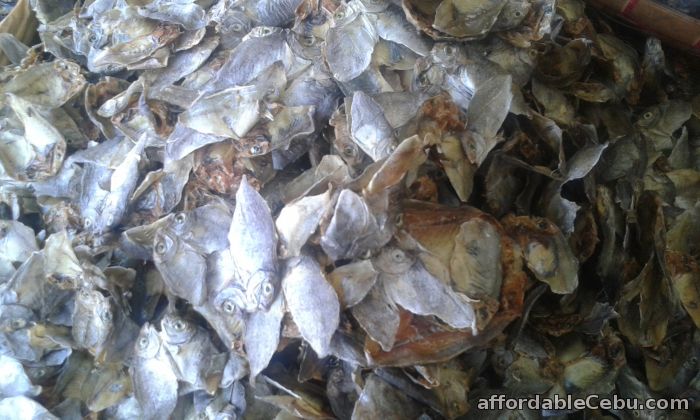 DRIED FISH DEALER For Sale Cebu City CebuPhilippines 46816