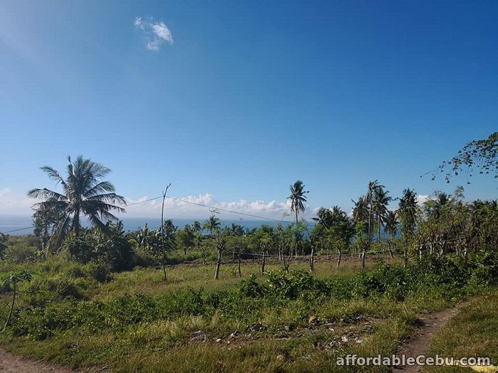 Ocean viewing Farm Lots for Sale!!! NAGA For Sale Naga City CebuPhilippines 72163