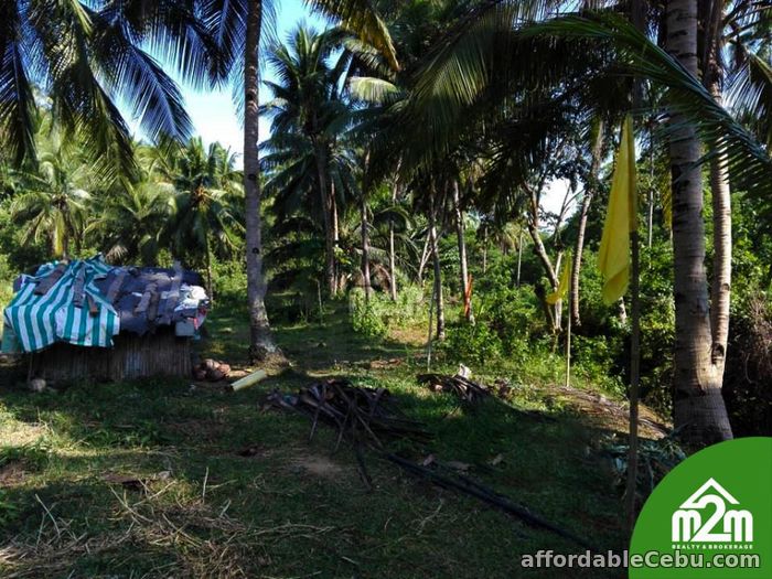 Mikaela Land Subdivision(LOT ONLY) Bagalnga, Compostela, Cebu
