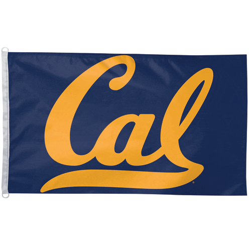 California University Flag American Flagpole & Flag Co.