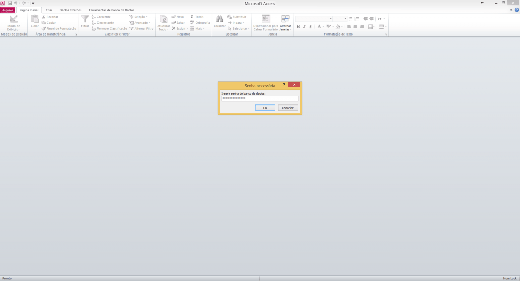 Inserindo a senha do arquivo MDB