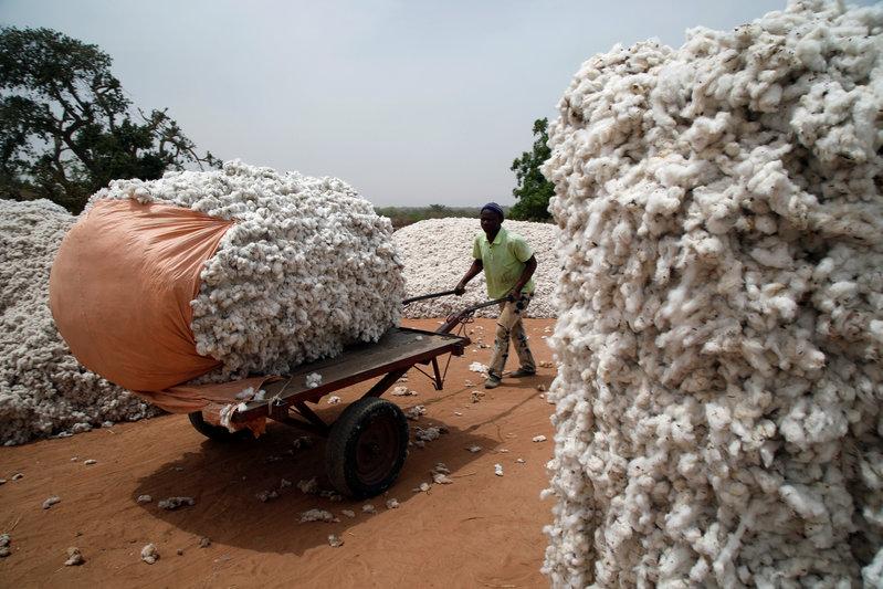 The International Islamic Trade Finance Corporation (ITFC) “The Cotton