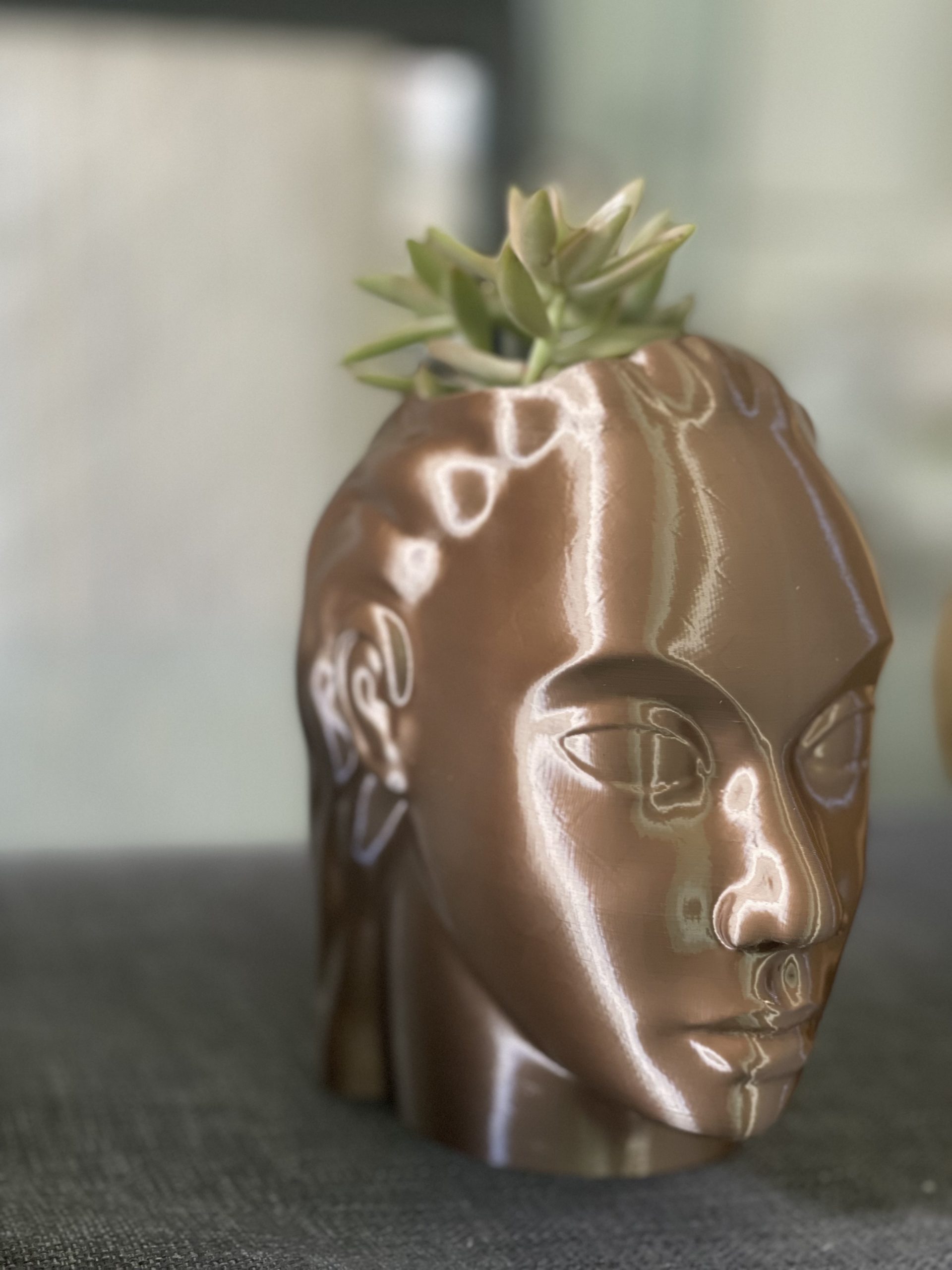 3D Printed Idealized Head of A Woman Planter