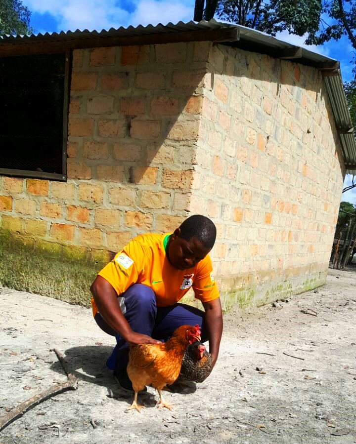 Lutaka Muyumbana satisfying palates for ‘village chickens’ African