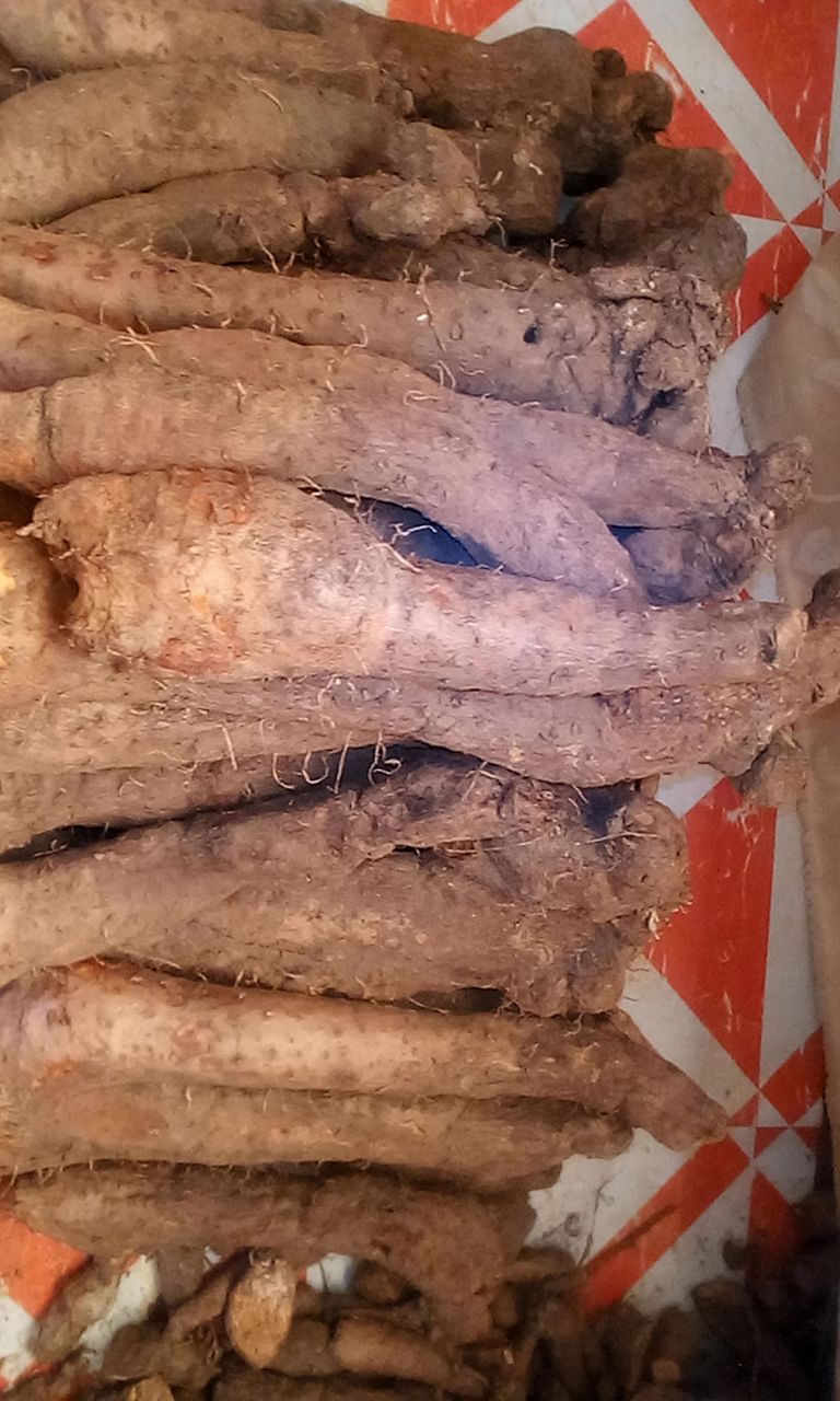 Yams for Africa why you should plant this tuber in your garden African Farming