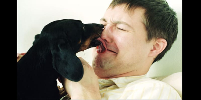 Femme Se Fait Lecher Par Un Chien Chien Nouvelles