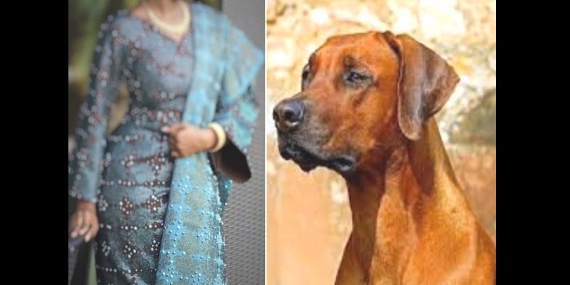 Elle Se Fait Mettre Par Son Chien Telegraph