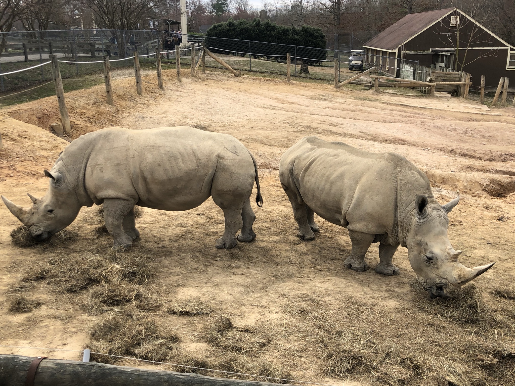 Visiting The Metro Richmond Zoo With A Frugal Chick (I Got To Pet a
