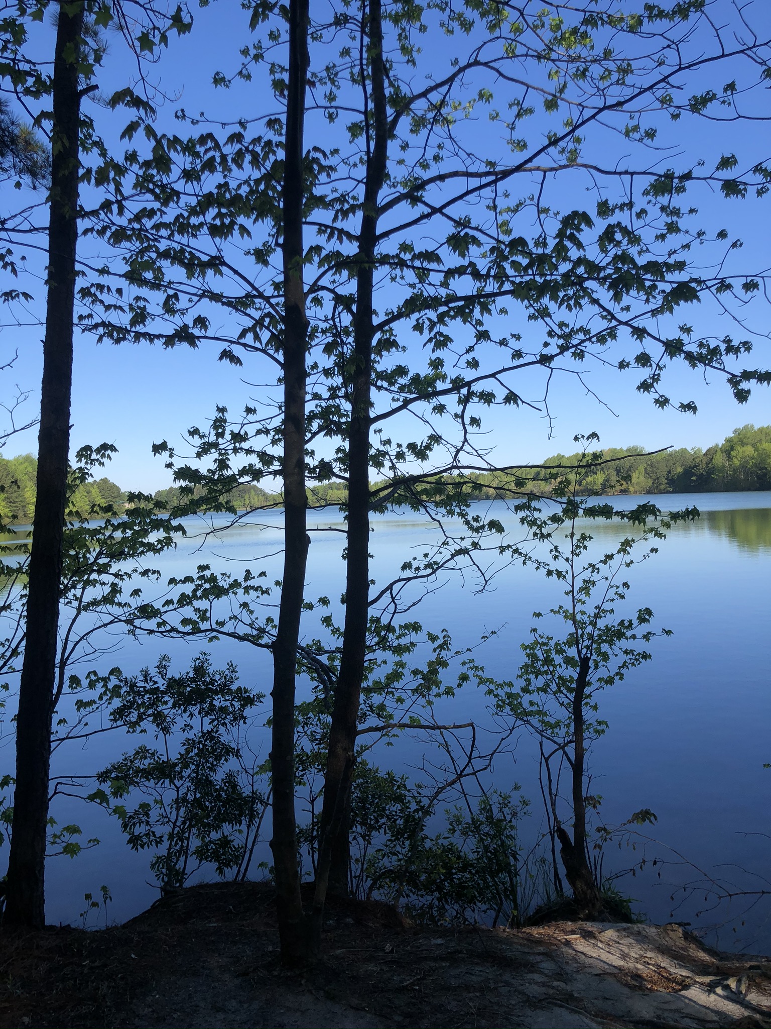 Visiting The Battle of Great Bridge Museum in Chesapeake, Virginia