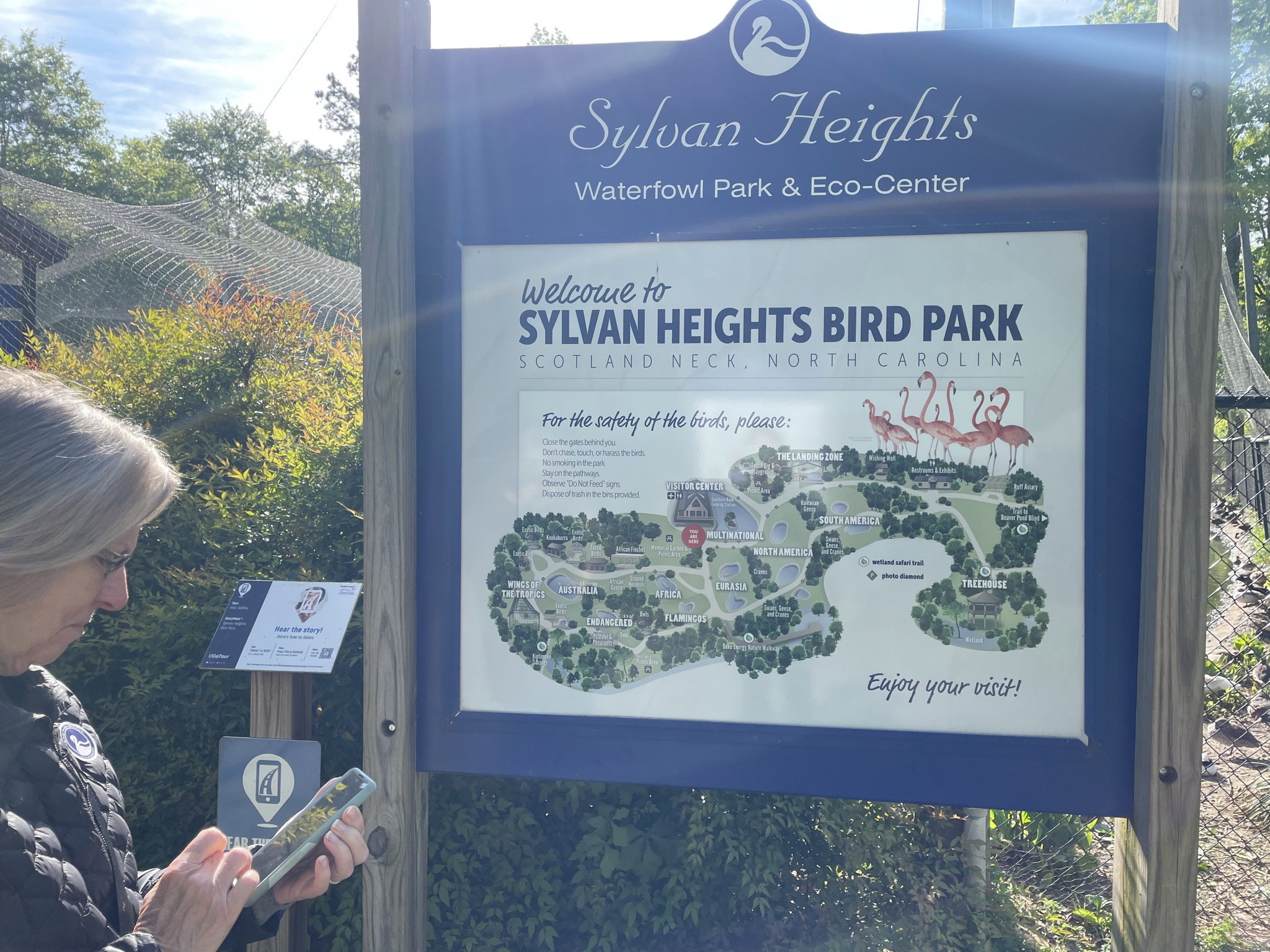 Visiting Sylvan Heights Bird Park in Scotland Neck, NC
