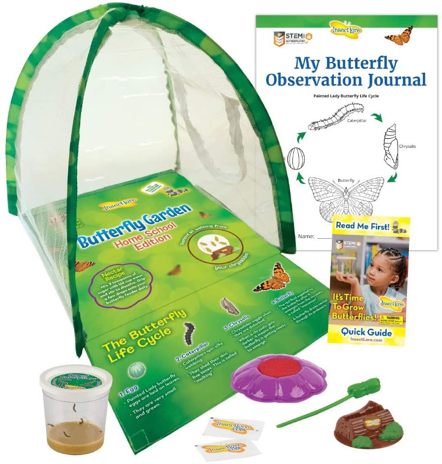 Amazon Daily Deal Save Up To 35 Off on Insect Lore Products
