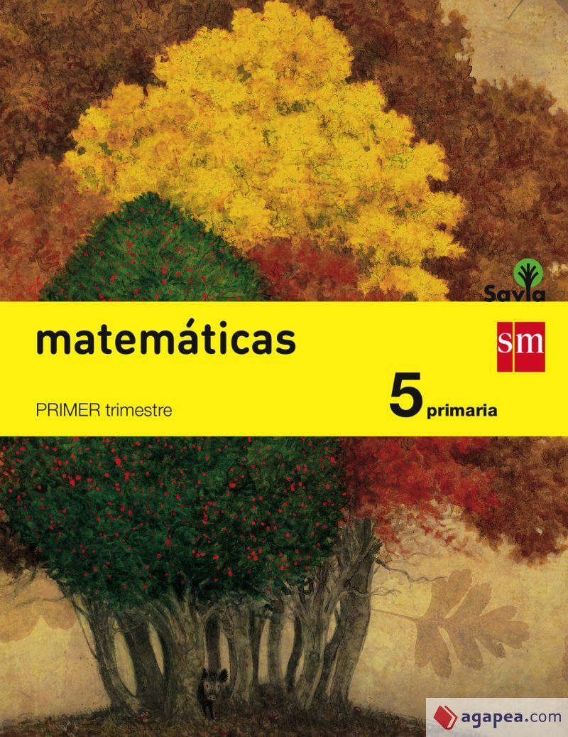MATEMATICAS. 5 PRIMARIA. SAVIA. FUNDACION SANTA MARIAEDICIONES SM