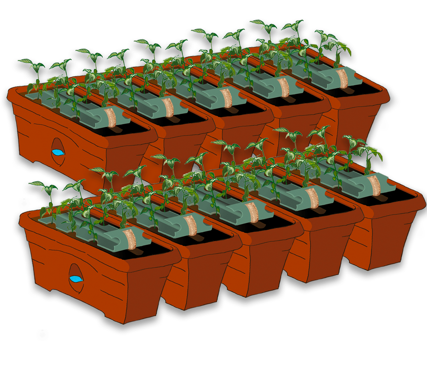 Garden Patch Grow Box Reviews Fasci Garden