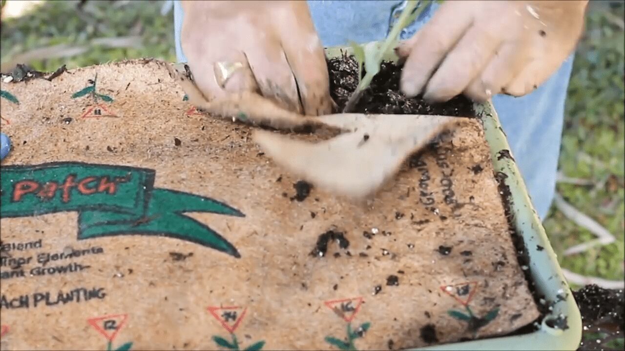 3 GrowBox Discount Bundle Garden Patch