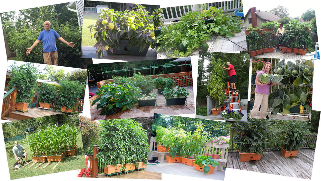 Garden Patch Grow Box Reviews Fasci Garden