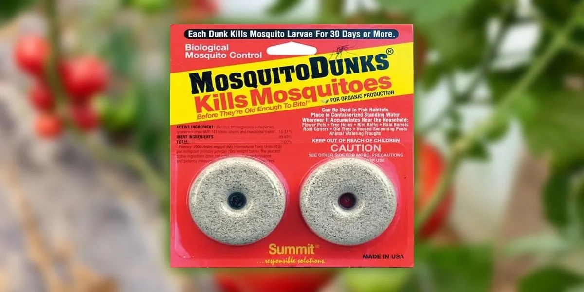 How Do Mosquito Dunks Work? What You Need To Know Garden Patch