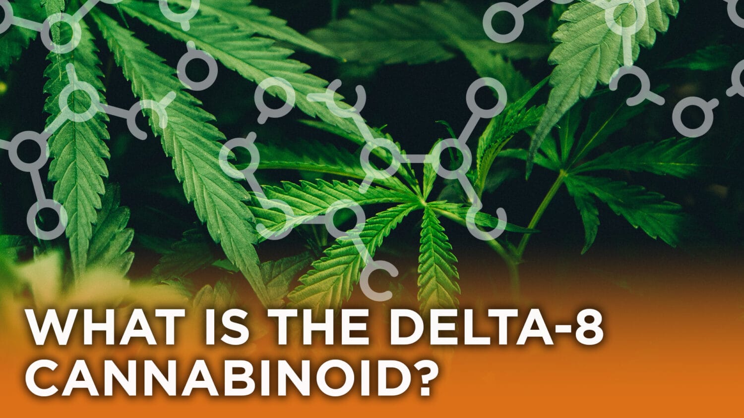What is the Delta8 Cannabinoid? Agate Dreams