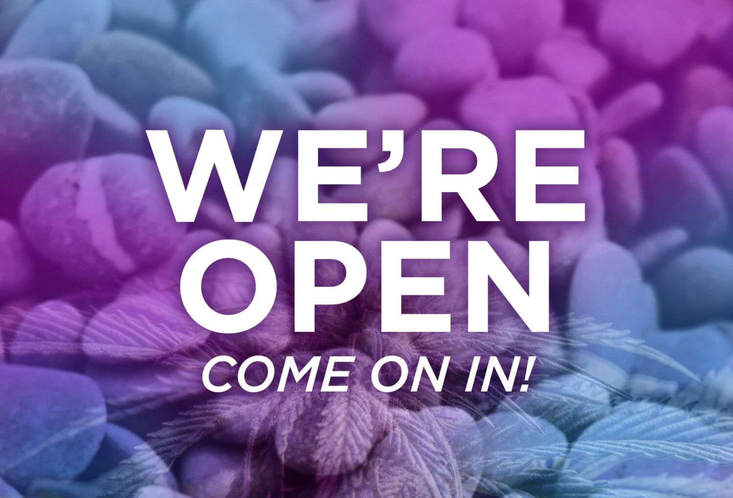 Regular Hours Today! Agate Dreams