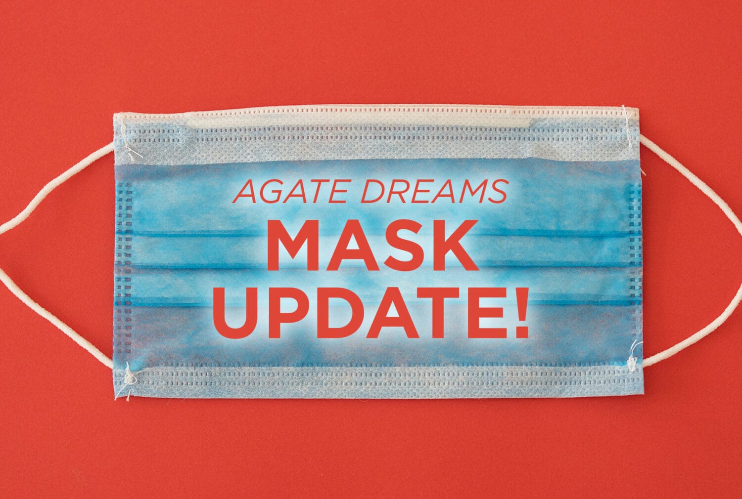 Mask Policy Update Agate Dreams