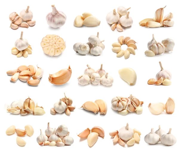 Which are the best garlic varieties in Kenya? Agcenture