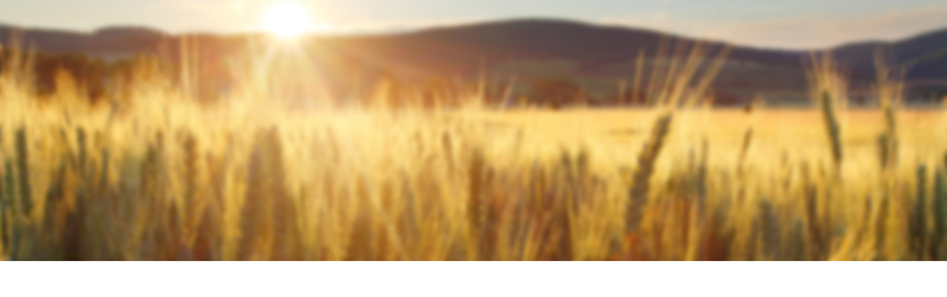 Agricultural product page AG Clutch Australia Clutches for