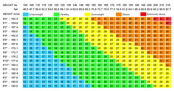 Body Mass Index Calculator,