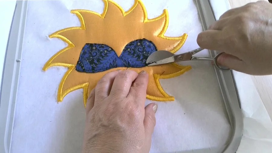 Brother Luminaire Tutorial How To Applique With An Embroidery Machine