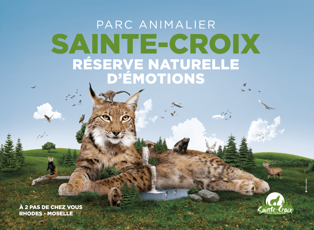 SainteCroix Agence VO