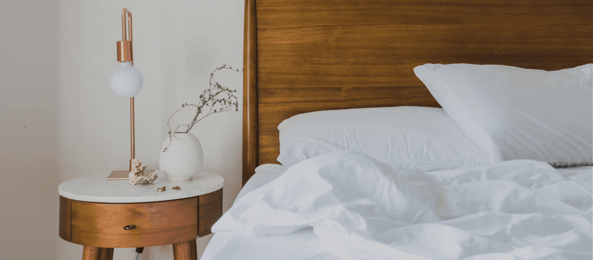 5 Tips to Prevent Bed Bug Infestation Hospitality Supplies