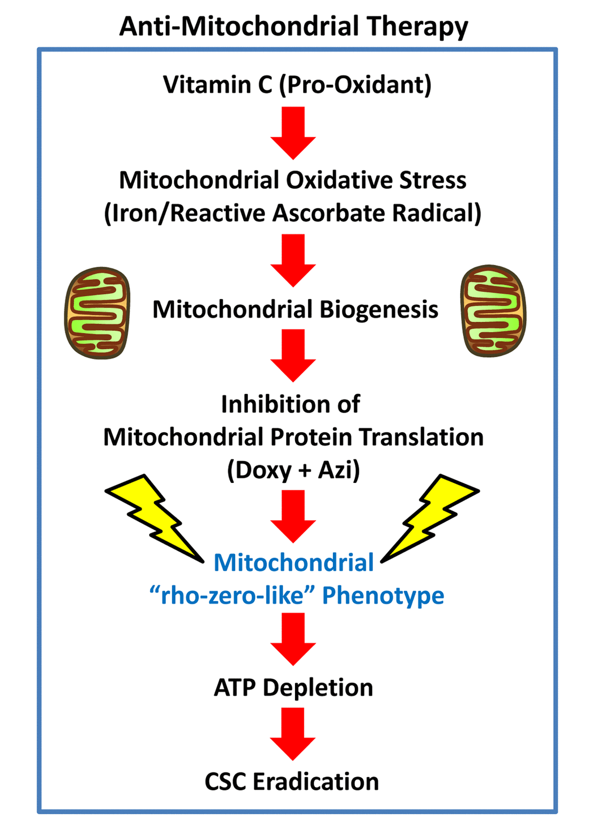 Doxycycline, Azithromycin and Vitamin C (DAV) A potent combination