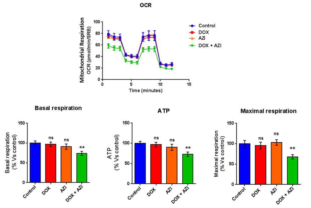 Doxycycline, Azithromycin and Vitamin C (DAV) A potent combination