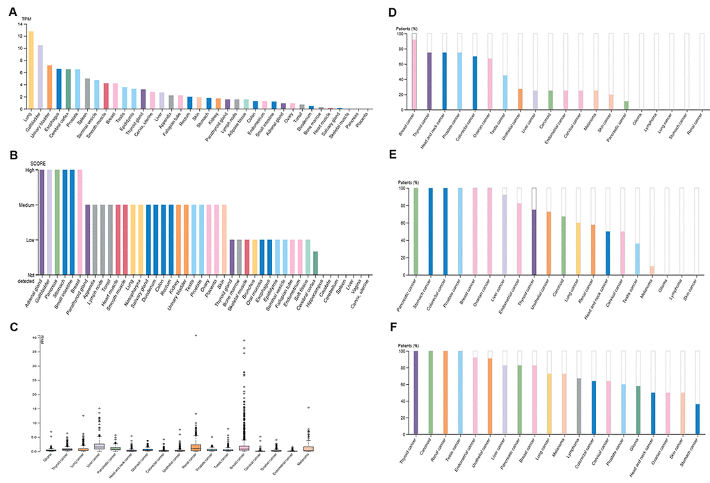 Five miRNAsmediated PIEZO2 downregulation, with activation
