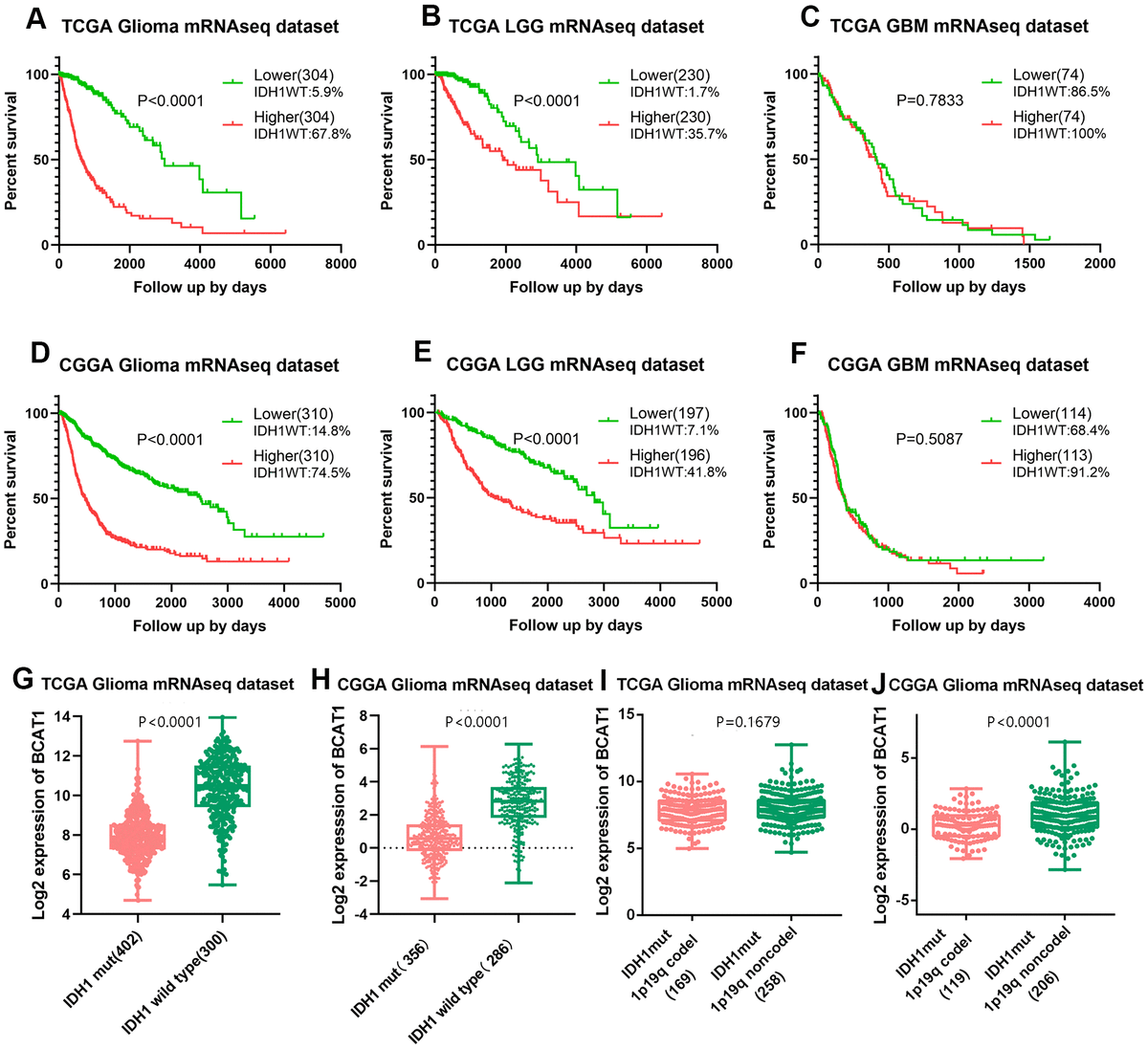 Enrichment of branched chain amino acid transaminase 1 correlates with