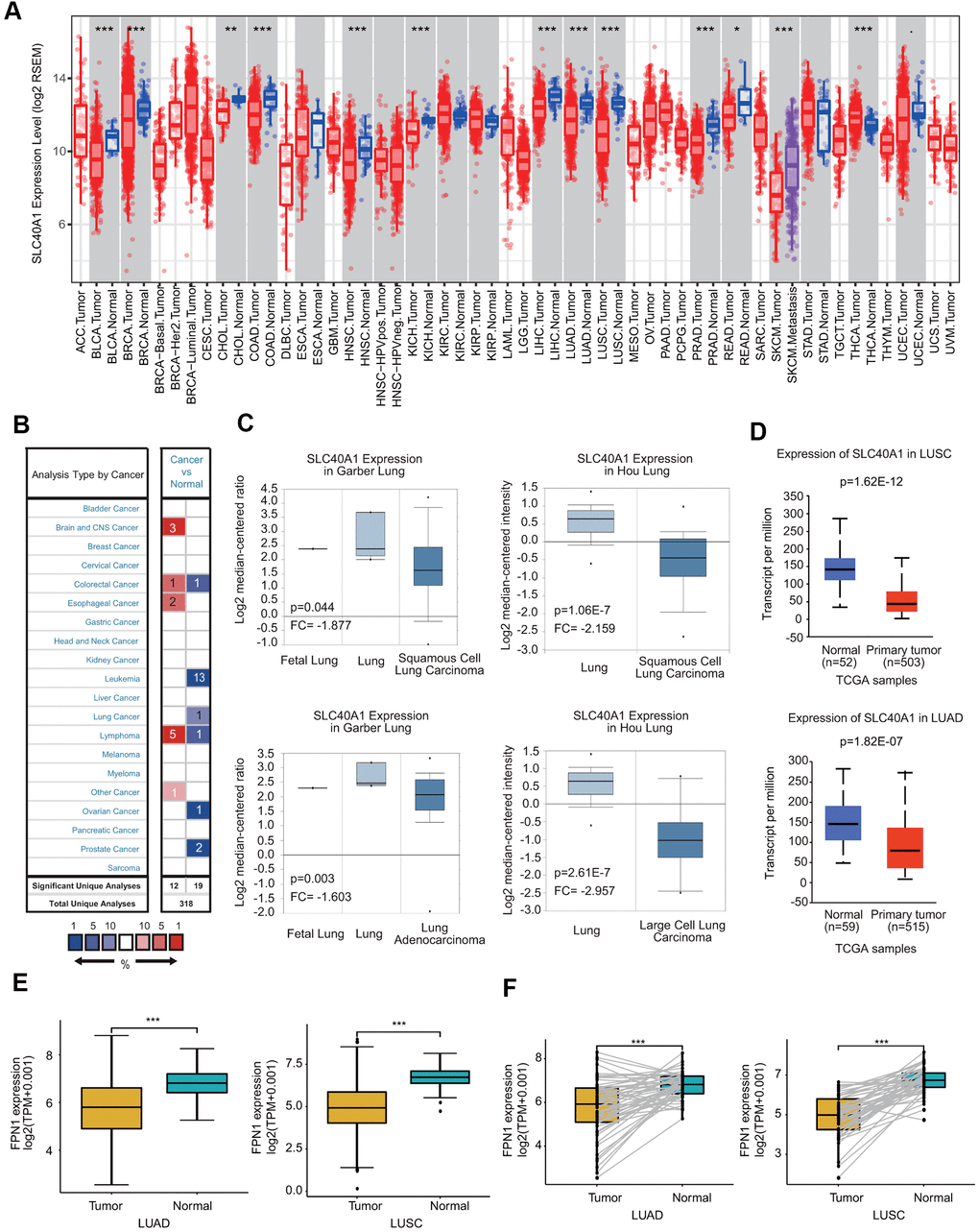 Downregulation of FPN1 acts as a prognostic biomarker associated with