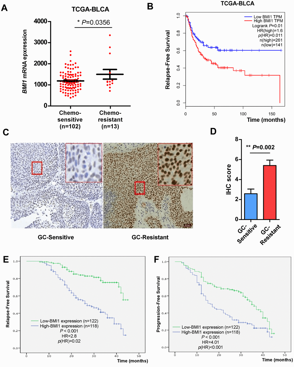 BMI1 activates Pglycoprotein via transcription repression of miR36823p and enhances