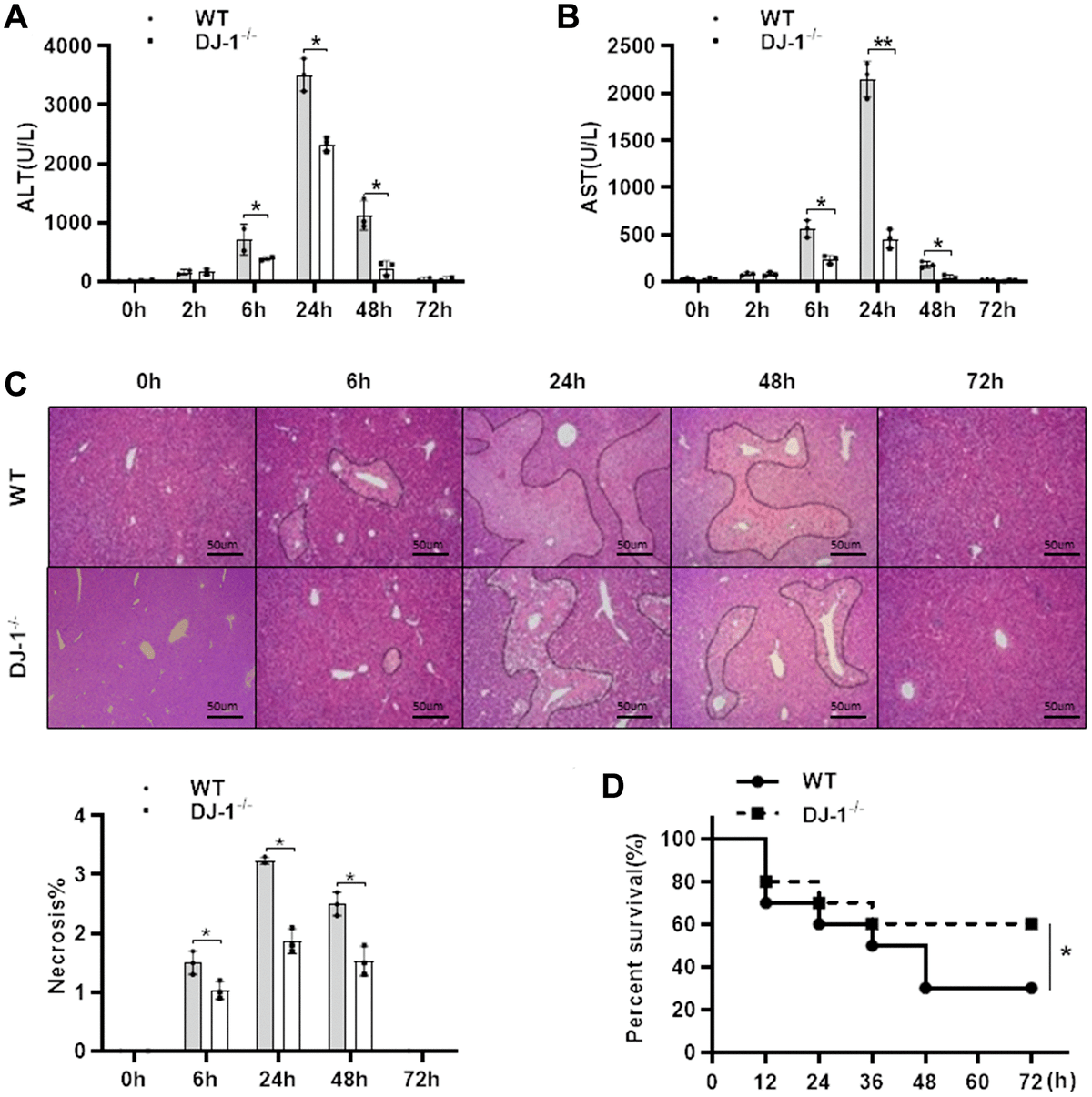 Myeloid DJ1 deficiency protects acetaminopheninduced acute liver