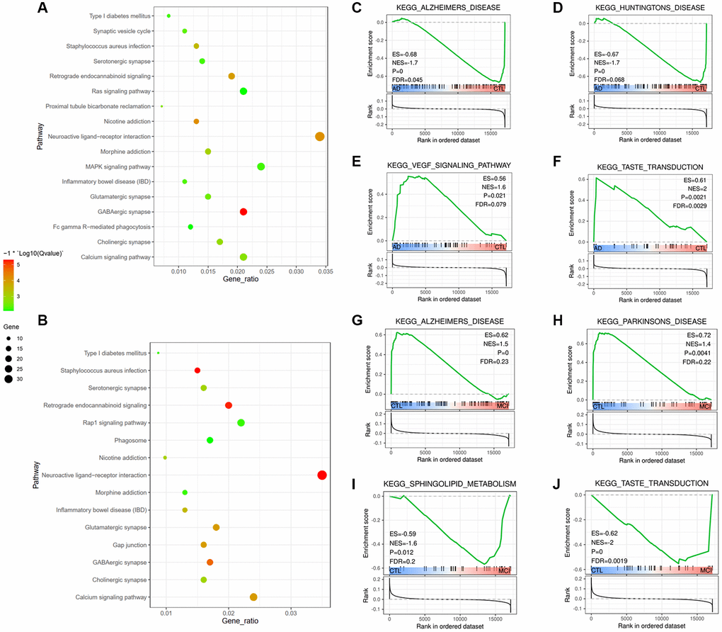 N6-methyladenosine (m6A) modification and its clinical relevance in