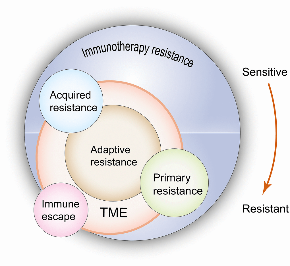 Acquired resistance for immune checkpoint inhibitors in cancer(03)