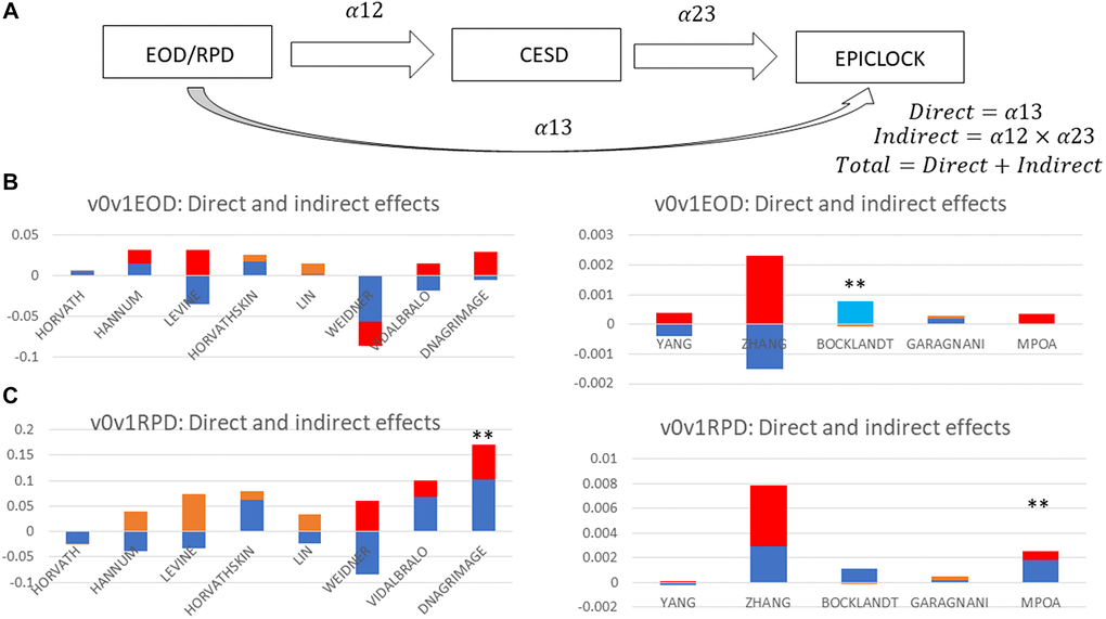 clocks and their association with trajectories in perceived