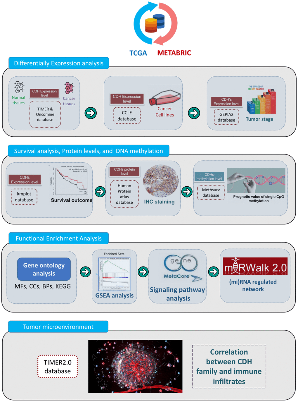 Comprehensive analysis of prognostic significance of cadherin (CDH