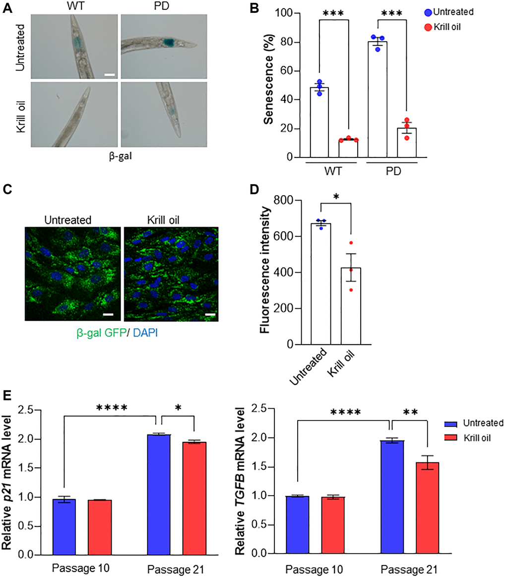 Krill oil protects dopaminergic neurons from agerelated degeneration