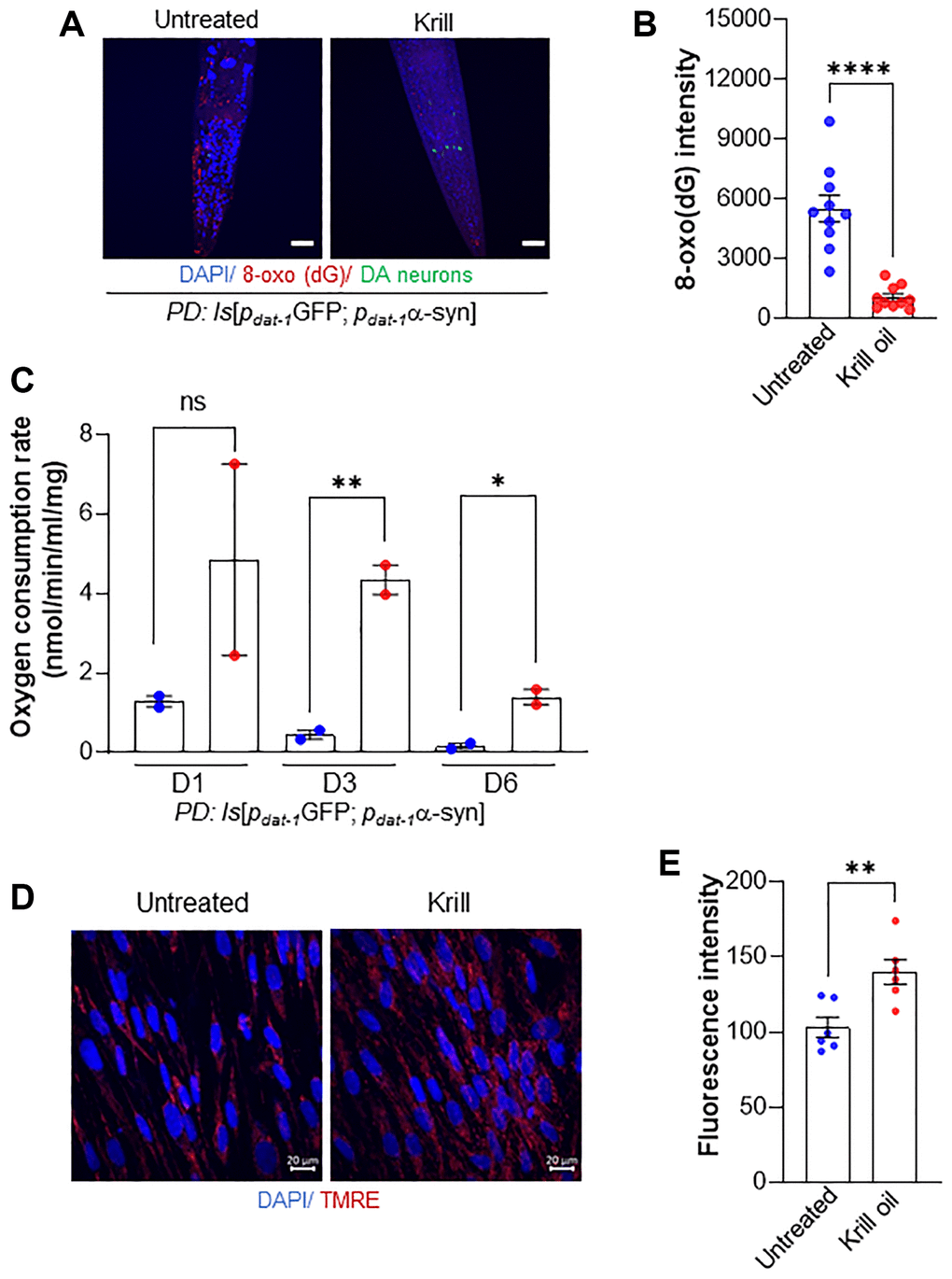 Krill oil protects dopaminergic neurons from agerelated degeneration