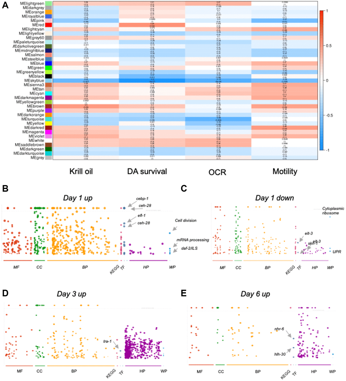 Krill oil protects dopaminergic neurons from agerelated degeneration