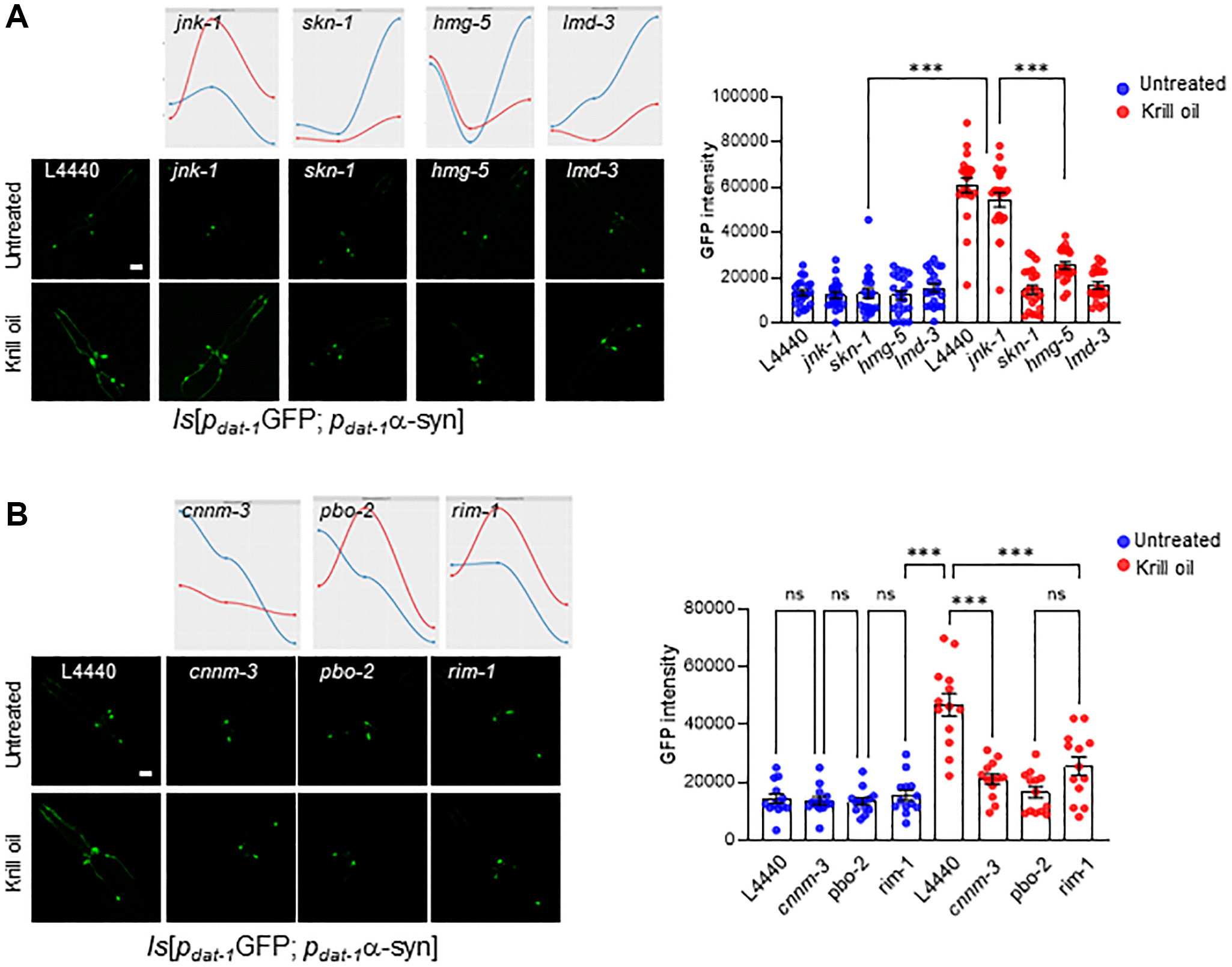 Krill oil protects dopaminergic neurons from agerelated degeneration
