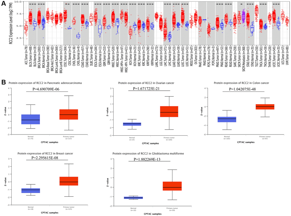 Comprehensive analysis of the expression profile and clinical