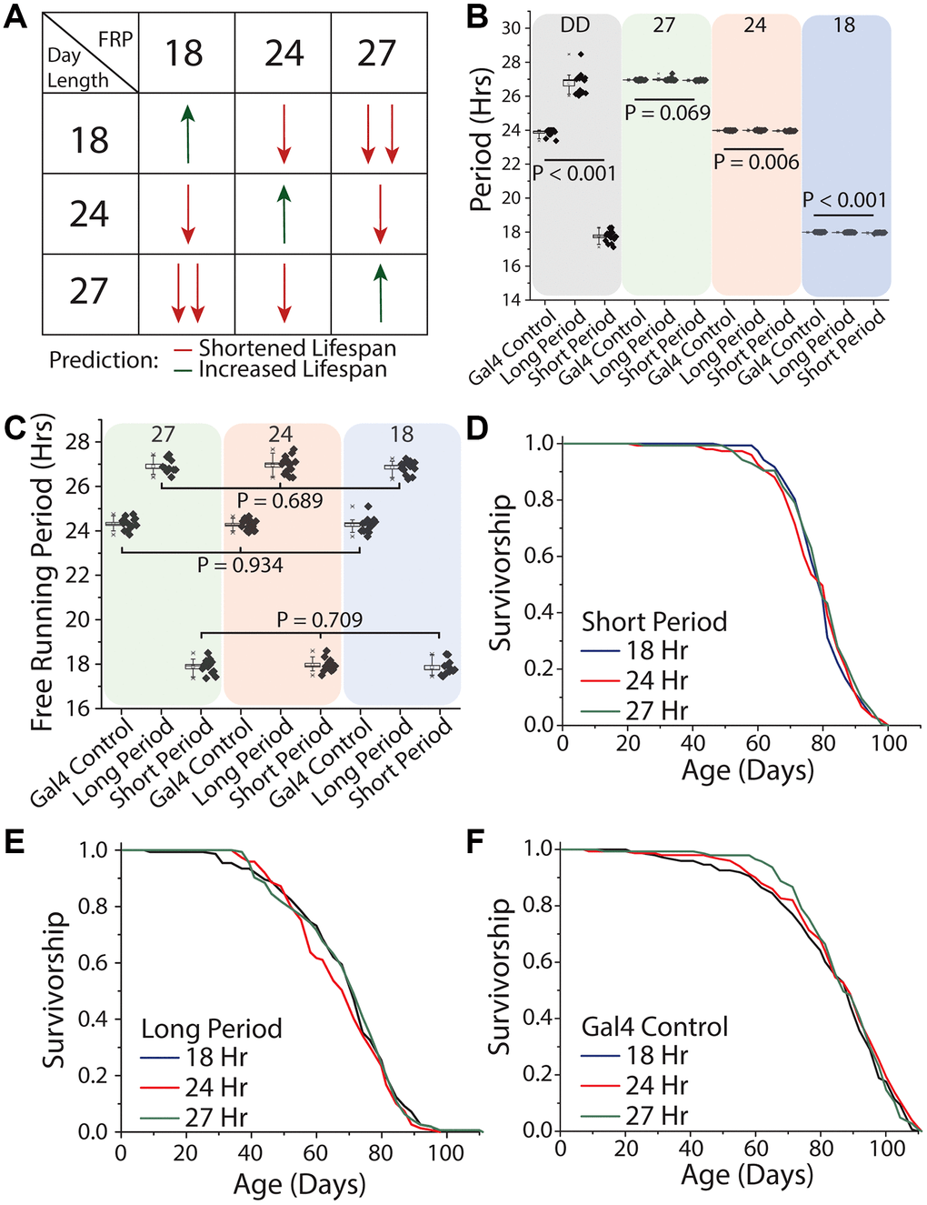 Light modulates Drosophila lifespan via perceptual systems independent