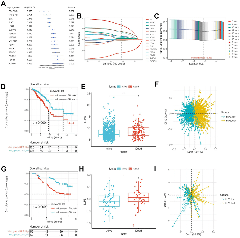 Significance of liquidliquid phase separation (LLPS)related genes in